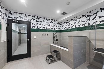 Pet wash and dry area at 128 on state apartments in kirkland, wa 98033